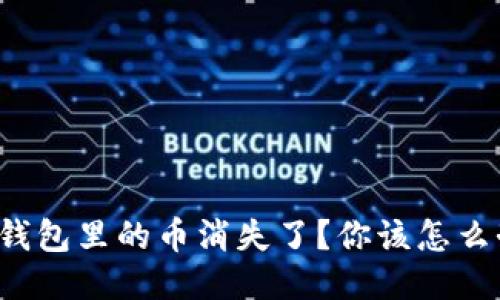 冷钱包里的币消失了？你该怎么办！