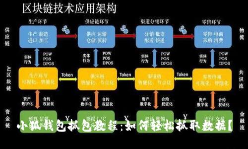 小狐钱包抓包教程：如何轻松抓取数据？