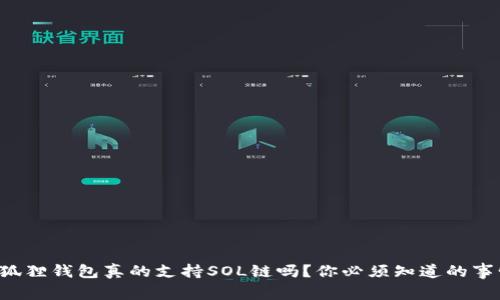小狐狸钱包真的支持SOL链吗？你必须知道的事情！