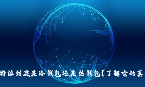 比特派到底是冷钱包还是热钱包？了解它的真相！
