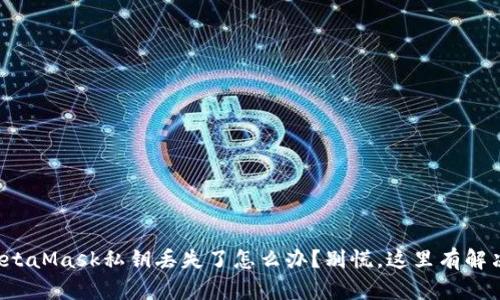 如果MetaMask私钥丢失了怎么办？别慌，这里有解决方案！