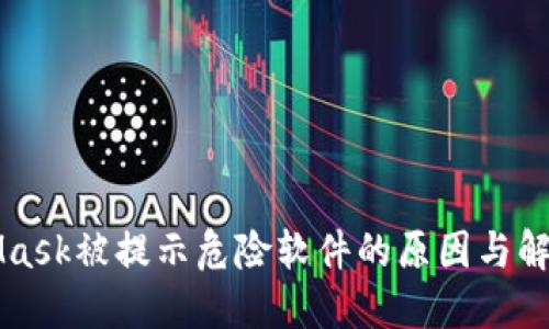 MetaMask被提示危险软件的原因与解决方案