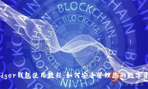 Ledger钱包使用教程：如何安全管理您的数字资产