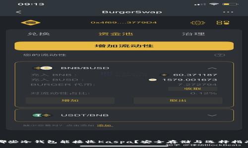 哪些冷钱包能接收Kaspa？安全存储与选择指南