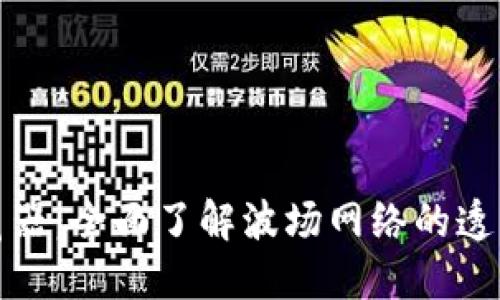 波场区块链浏览器：全面了解波场网络的透明性与数据查询