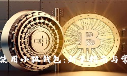 如何创建和使用小狐钱包：新手指南与常见问题解答