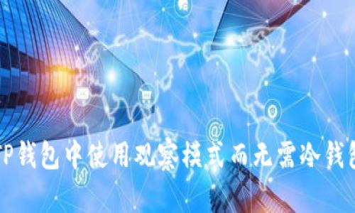 如何在TP钱包中使用观察模式而无需冷钱包的指南