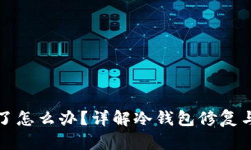 冷钱包坏了怎么办？详解冷钱包修复与替代方案