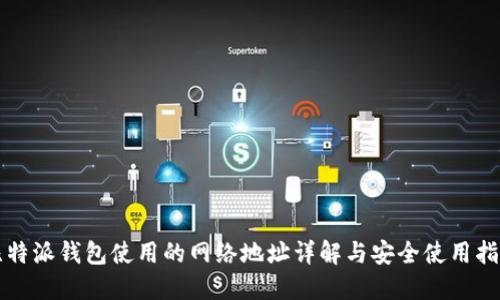 比特派钱包使用的网络地址详解与安全使用指南