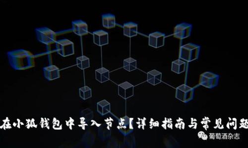 如何在小狐钱包中导入节点？详细指南与常见问题解答
