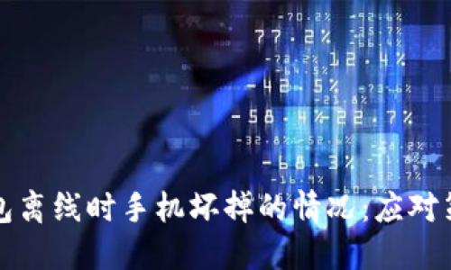 如何处理冷钱包离线时手机坏掉的情况：应对策略与解决方案