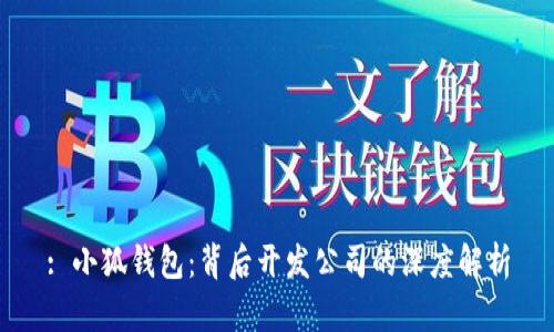 : 小狐钱包：背后开发公司的深度解析