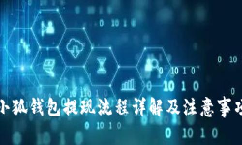 小狐钱包提现流程详解及注意事项