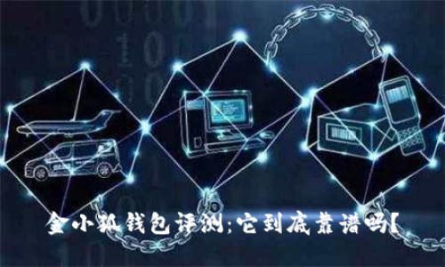 金小狐钱包评测：它到底靠谱吗？