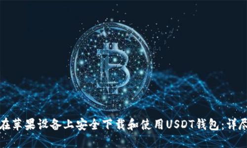 如何在苹果设备上安全下载和使用USDT钱包：详尽指南