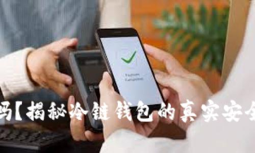 冷链钱包安全吗？揭秘冷链钱包的真实安全性与使用攻略