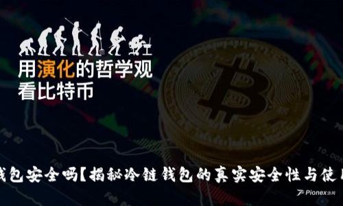 冷链钱包安全吗？揭秘冷链钱包的真实安全性与使用攻略