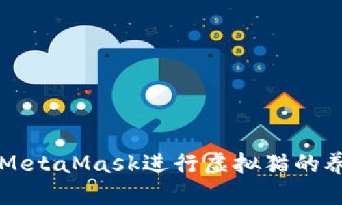 如何使用MetaMask进行虚拟猫的养成与交易