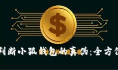 如何判断小狐钱包的真伪：全方位指南