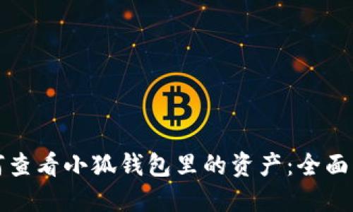 如何查看小狐钱包里的资产：全面指南
