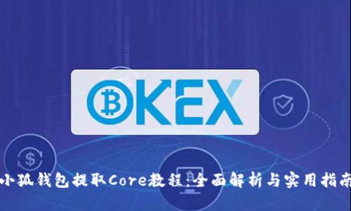 小狐钱包提取Core教程：全面解析与实用指南