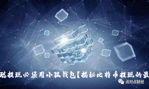 : 中本聪提现必须用小狐钱包？揭秘比特币提现的最佳选择