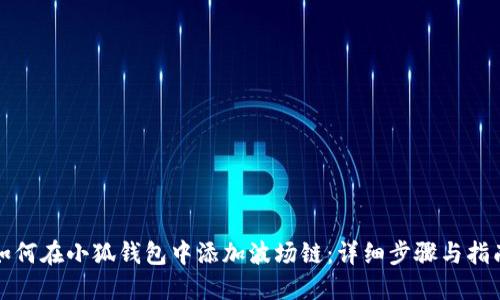 如何在小狐钱包中添加波场链：详细步骤与指南