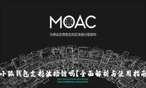 小狐钱包支持波场链吗？全面解析与使用指南