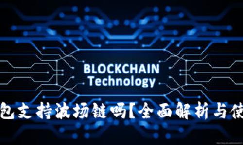 小狐钱包支持波场链吗？全面解析与使用指南